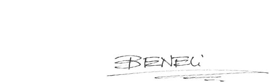 beneli group